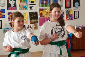 Jess and Phoebe virtual karate photo